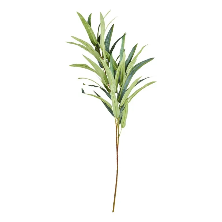 Bamboe tak - 83 cm