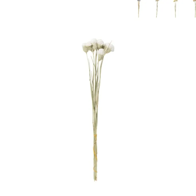 Droogbloemen - diverse varianten - 38 cm