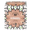 Fine flavours kruiden thee - kaneel - 10 zakjes