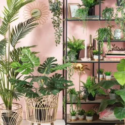 Hangplant in pot - 55 cm