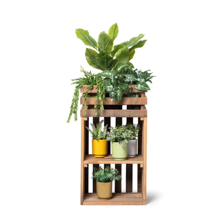 Hangplantje in potje - lang blad