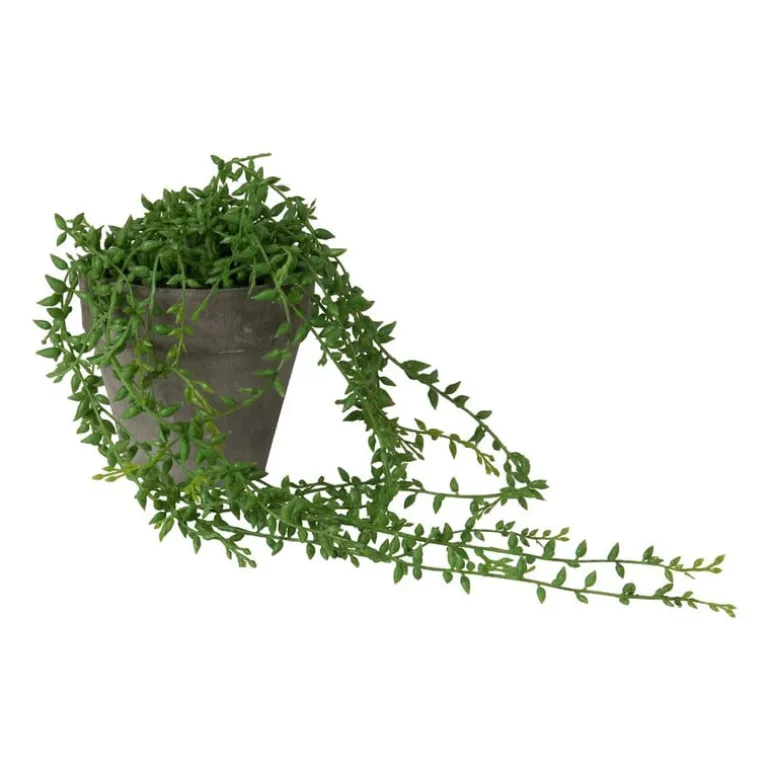 Hangplantje in potje - spits blad