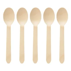 Houten lepels - set van 20