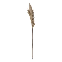 Kunstbloem pampas tak - 81 cm - diverse kleuren