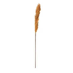 Kunstbloem pampas tak - 81 cm - diverse kleuren