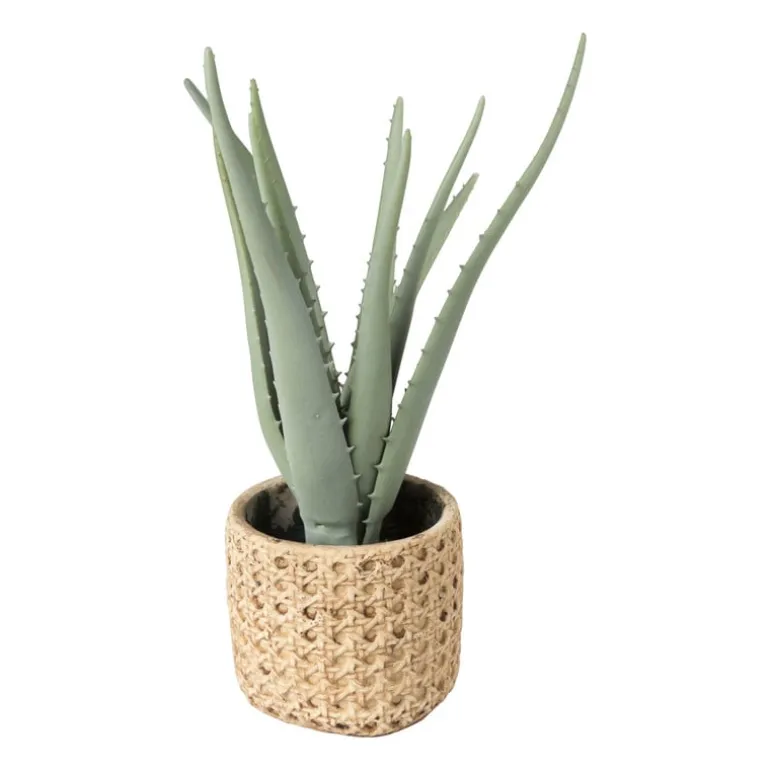 Kunstplant aloe vera - 33 cm