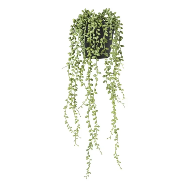 Kunstplant erwtenplantje in pot - groen/zwart - 53 cm