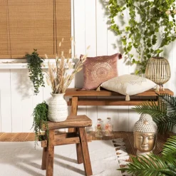 Lagurus - 70 cm