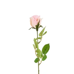 Mercedes roos - roze - 49 cm