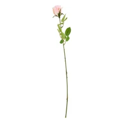 Mercedes roos - roze - 49 cm