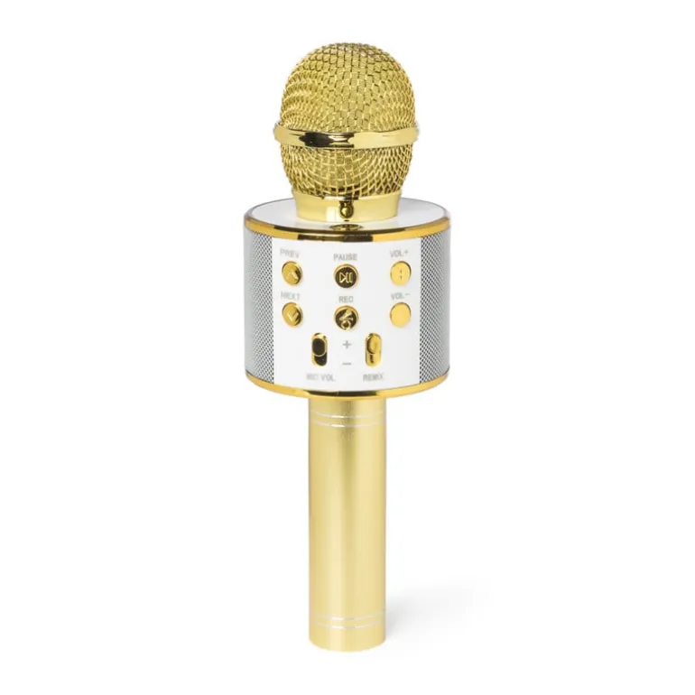 Microfoon karaoke - diverse kleuren - ø7x22.5 cm
