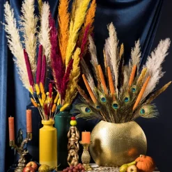 Pampasgras - 100 cm - set van 3