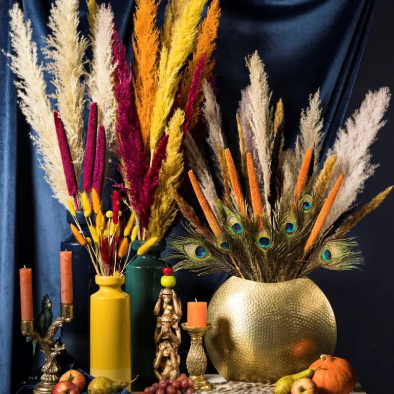 Pampasgras - 100 cm - set van 3