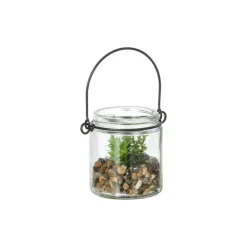 Plantje in glas - ø6x6.7 cm