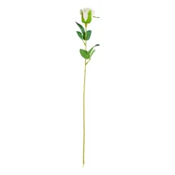 Roos wit - 56 cm