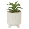 Vetplantje in pot - beige - ø8x15 cm