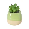 Vetplantje in pot - oranje - 8x6.5x6.5 cm